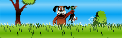 play Duck Hunt (Nes)