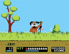 Play Duck Hunt (Nes)