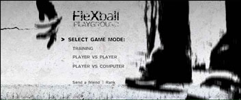 flexball_1.jpg