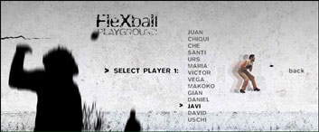 flexball_2.jpg